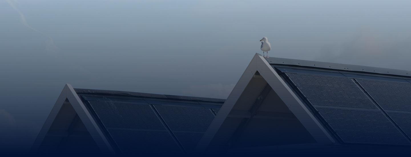 Footer CTA Background